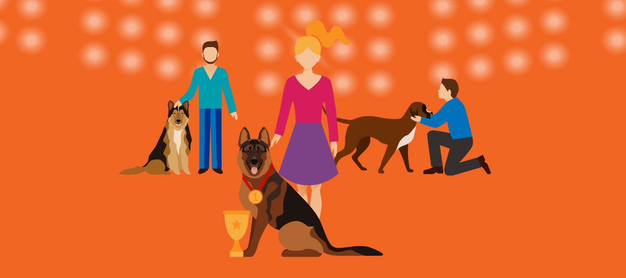 Stepbystep guide to running a pet show